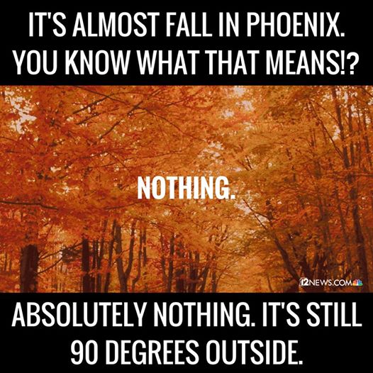 Fall in Phoenix.jpg