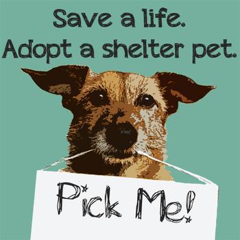 adopt-shelter-pet